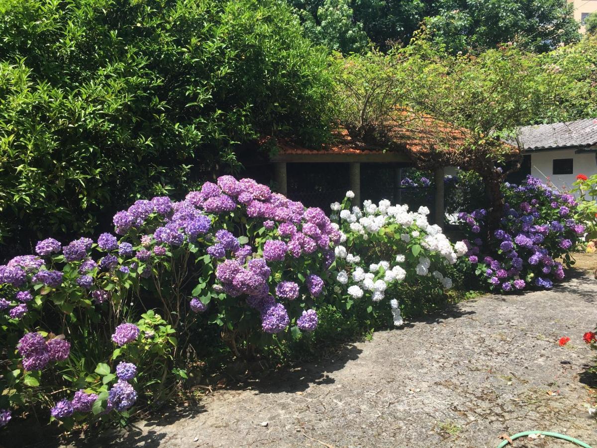 Hotel The Oaks House Foz Porto Exterior foto