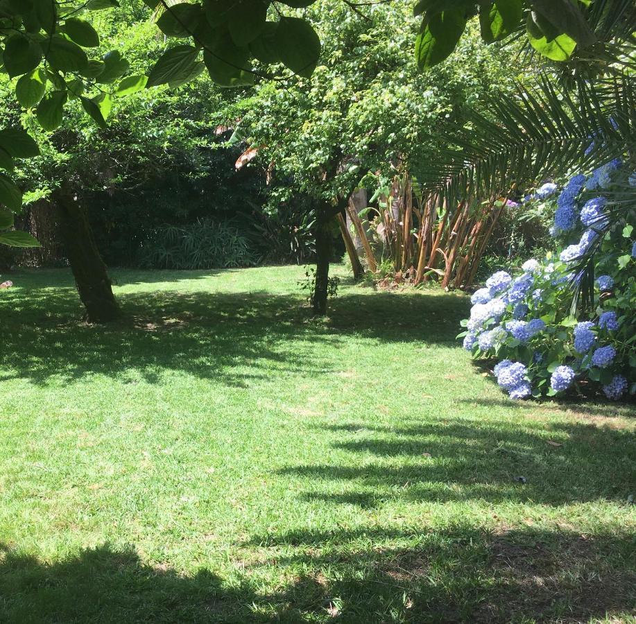 Hotel The Oaks House Foz Porto Exterior foto